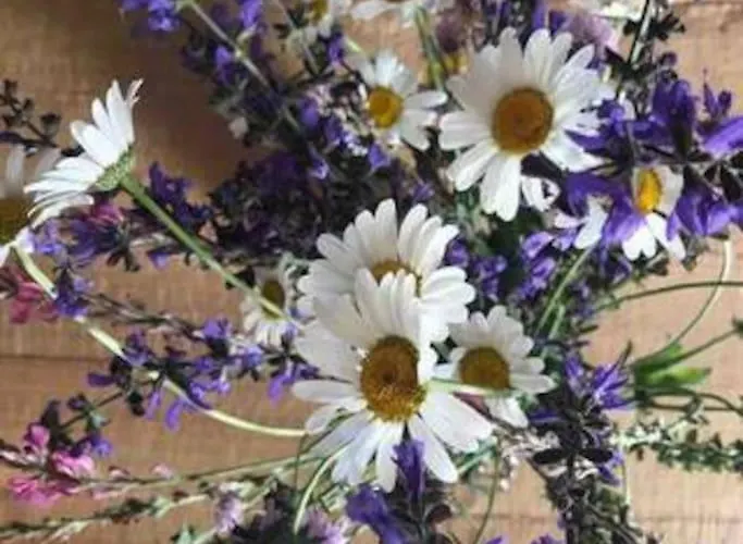 Daire La Maison. La Roccia Dello Stambecco *